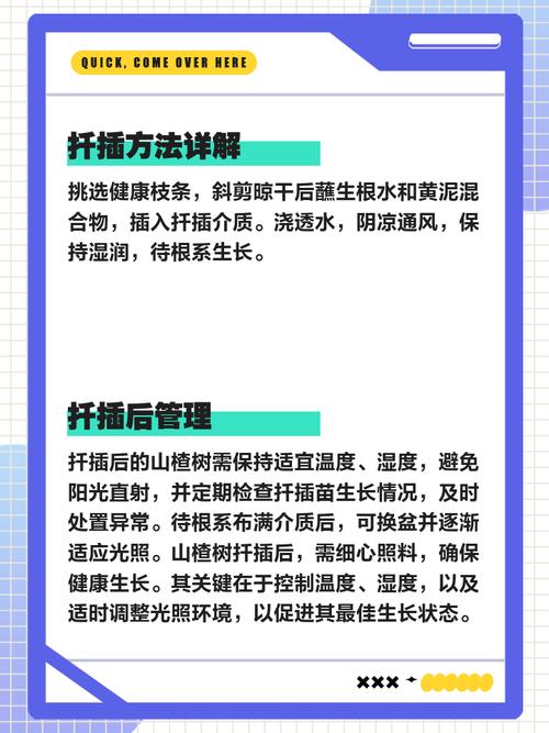 山楂繁殖靠扦插吗,山楂能通过什么方法繁殖,山楂怎样繁殖-第5张图片-优品飞百科 山楂繁殖靠扦插吗,山楂能通过什么方法繁殖,山楂怎样繁殖-第5张图片-优品飞百科