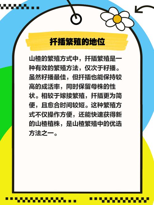 山楂繁殖靠扦插吗,山楂能通过什么方法繁殖,山楂怎样繁殖-第7张图片-优品飞百科 山楂繁殖靠扦插吗,山楂能通过什么方法繁殖,山楂怎样繁殖-第7张图片-优品飞百科