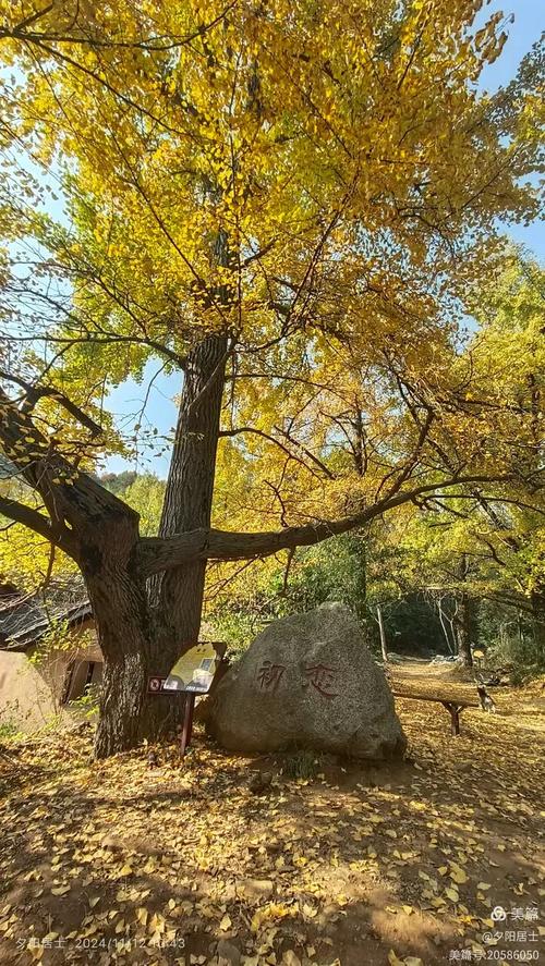 随州曾都区天气预报,随州曾都区天气预报15天查询百度-第5张图片-优品飞百科 随州曾都区天气预报,随州曾都区天气预报15天查询百度-第5张图片-优品飞百科