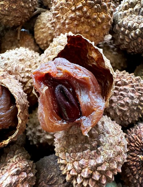 干荔枝的功效与作用，干荔枝图片，干荔枝的功效与禁忌-第2张图片-优品飞百科