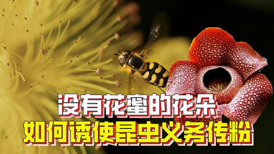 花开放的时间有哪些花，各种花开放的具体时间-第2张图片-优品飞百科