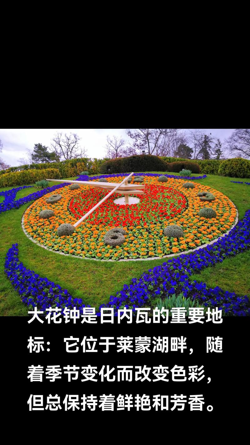 花开放的时间有哪些花，各种花开放的具体时间-第3张图片-优品飞百科