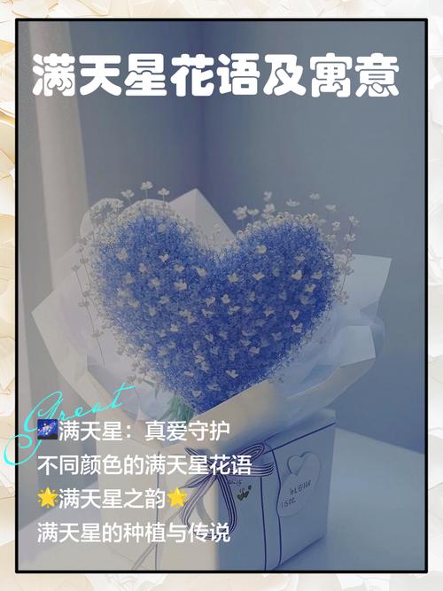 满天星的花语和传说？满天星的花语是啥来着？-第3张图片-优品飞百科