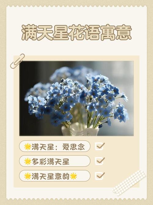 满天星的花语和传说？满天星的花语是啥来着？-第5张图片-优品飞百科