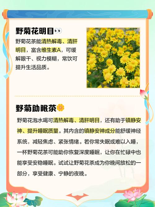 野生菊花可以泡水喝吗，野生的野菊花能不能直接摘下来泡水喝-第1张图片-优品飞百科