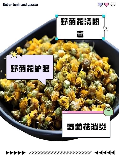 野生菊花可以泡水喝吗，野生的野菊花能不能直接摘下来泡水喝-第2张图片-优品飞百科