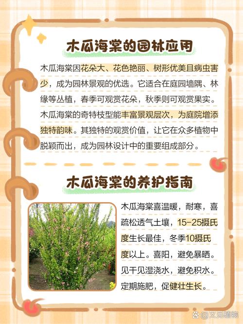 木瓜是什么，木瓜树图片，木瓜树的学名-第1张图片-优品飞百科