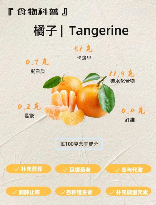 桔子的功效与作用?桔子的功效与作用上火还是下火?-第4张图片-优品飞百科 桔子的功效与作用?桔子的功效与作用上火还是下火?-第4张图片-优品飞百科