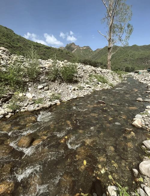 河南周口天气预报，河南周口天气预报2345天气网？-第3张图片-优品飞百科