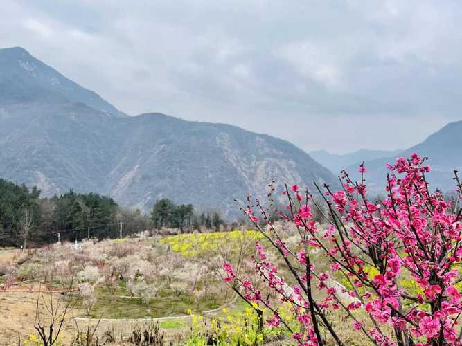 平武县天气预报，平武县天气预报30天查询？-第2张图片-优品飞百科