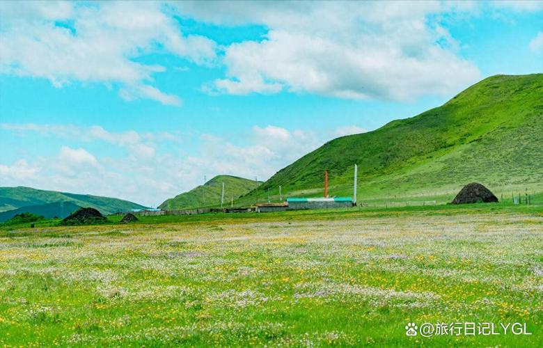 碌曲县天气预报，碌曲县天气预报30天查询-第1张图片-优品飞百科