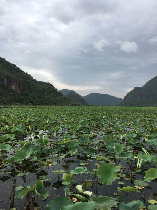 云南普者黑天气预报?云南天气预报最新7天?-第1张图片-优品飞百科 云南普者黑天气预报?云南天气预报最新7天?-第1张图片-优品飞百科