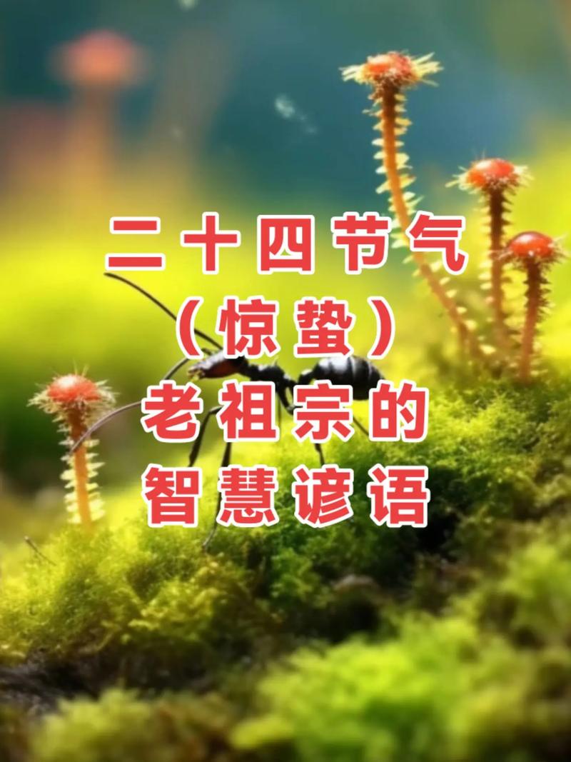 白土天气预报？万州白土天气预报？-第2张图片-优品飞百科