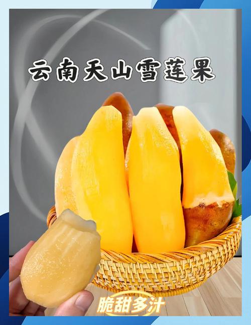 雪莲果什么时候成熟，雪莲果怎么保存，雪莲果啥时候是收获的季节-第6张图片-优品飞百科