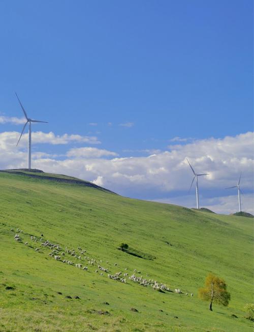 张北明天天气预报？张北明天温度是多少？-第4张图片-优品飞百科