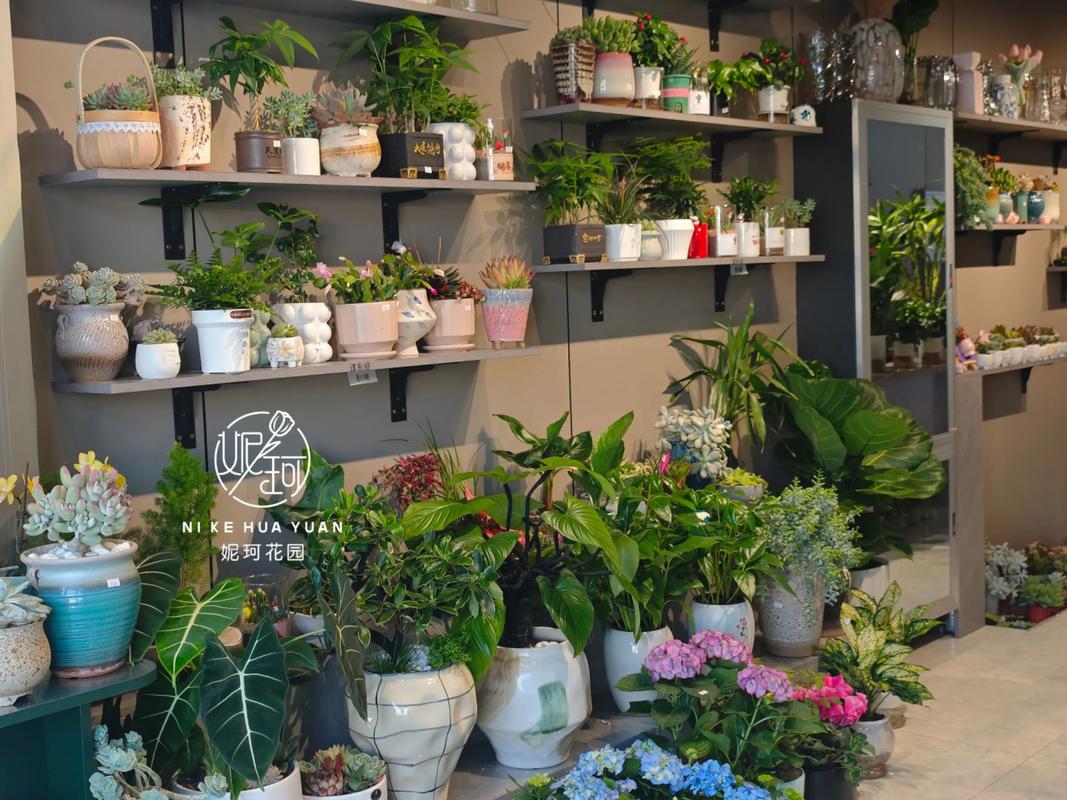 鄂尔多斯适合养什么花,市花和市树是什么,360借条平台是合法的吗-第1张图片-优品飞百科 鄂尔多斯适合养什么花,市花和市树是什么,360借条平台是合法的吗-第1张图片-优品飞百科