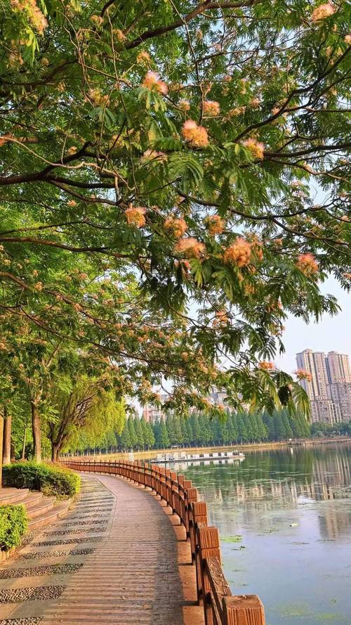 鄂尔多斯适合养什么花,市花和市树是什么,360借条平台是合法的吗-第4张图片-优品飞百科 鄂尔多斯适合养什么花,市花和市树是什么,360借条平台是合法的吗-第4张图片-优品飞百科