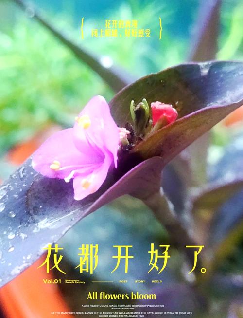 鸭拓草有毒吗，鸭拓草禁忌-第5张图片-优品飞百科