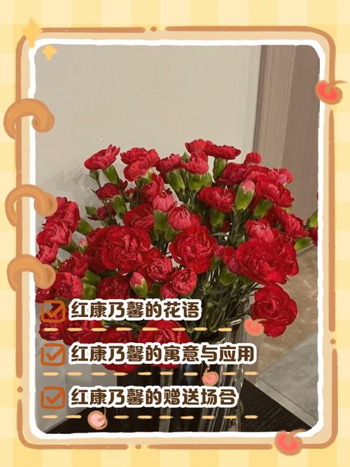红色的康乃馨代表什么意思，红色康乃馨代表什么意思能送老师吗