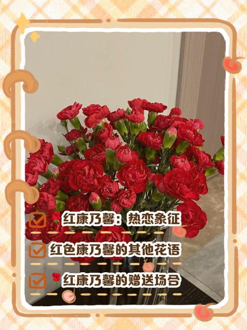 红色的康乃馨代表什么意思，红色康乃馨代表什么意思能送老师吗-第2张图片-优品飞百科