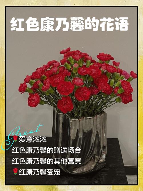 红色的康乃馨代表什么意思，红色康乃馨代表什么意思能送老师吗-第3张图片-优品飞百科