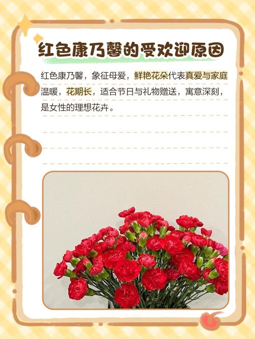 红色的康乃馨代表什么意思，红色康乃馨代表什么意思能送老师吗-第4张图片-优品飞百科