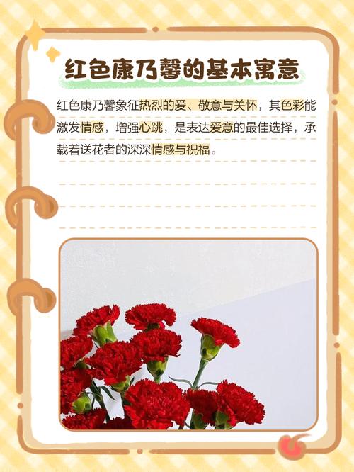 红色的康乃馨代表什么意思，红色康乃馨代表什么意思能送老师吗-第5张图片-优品飞百科