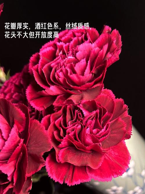 红色的康乃馨代表什么意思，红色康乃馨代表什么意思能送老师吗-第6张图片-优品飞百科