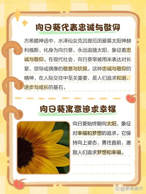 向日葵为什么总是向着太阳(阳光中的向日葵)?向日葵为什么始终向着太阳?-第1张图片-优品飞百科 向日葵为什么总是向着太阳(阳光中的向日葵)?向日葵为什么始终向着太阳?-第1张图片-优品飞百科