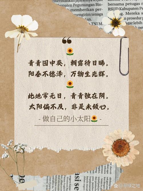 向日葵为什么总是向着太阳(阳光中的向日葵)?向日葵为什么始终向着太阳?-第3张图片-优品飞百科 向日葵为什么总是向着太阳(阳光中的向日葵)?向日葵为什么始终向着太阳?-第3张图片-优品飞百科