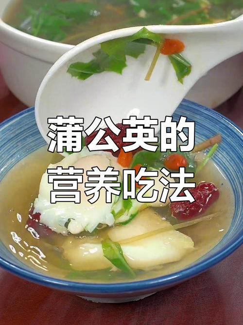 吃蒲公英有什么好处,新鲜的蒲公英怎么吃?新鲜蒲公英吃了会中毒吗?-第3张图片-优品飞百科 吃蒲公英有什么好处,新鲜的蒲公英怎么吃?新鲜蒲公英吃了会中毒吗?-第3张图片-优品飞百科