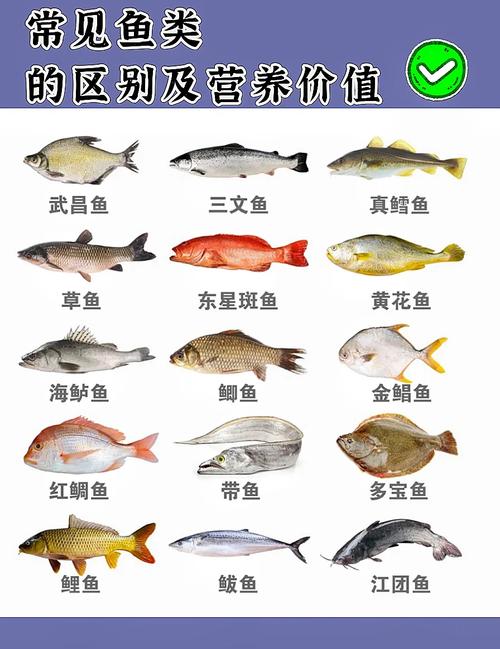 独占春的功效与作用，独占春值不值钱？-第1张图片-优品飞百科