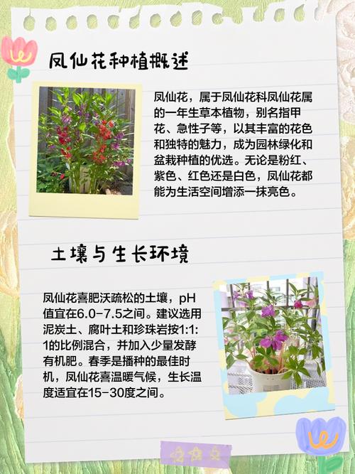 凤仙花养在家里好吗，养不活是怎么回事？凤仙花在室内能养不?？-第2张图片-优品飞百科