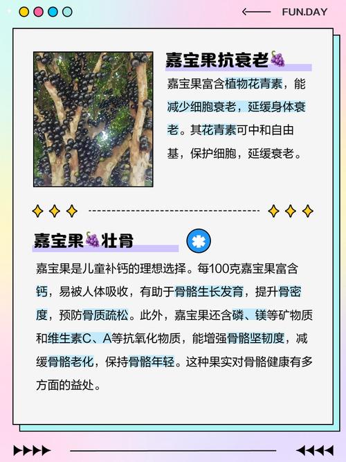 嘉宝果的功效与作用？嘉宝果的功效与作用多少钱一斤？-第4张图片-优品飞百科