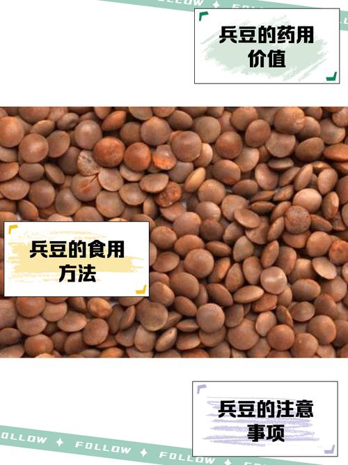 兵豆的功效与作用？兵豆百科？-第1张图片-优品飞百科