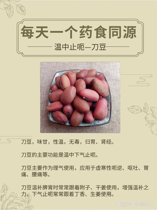 兵豆的功效与作用？兵豆百科？-第6张图片-优品飞百科