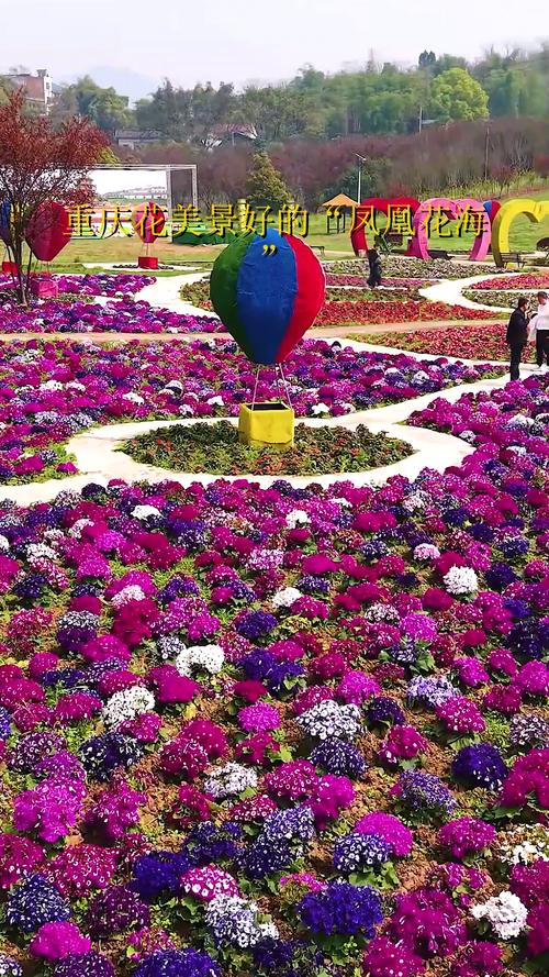 重庆适合养什么花?适合重庆养的盆栽花卉?-第5张图片-优品飞百科 重庆适合养什么花?适合重庆养的盆栽花卉?-第5张图片-优品飞百科