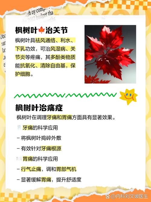 枫树叶的功效和作用，枫树叶的功效和作用及禁忌-第1张图片-优品飞百科