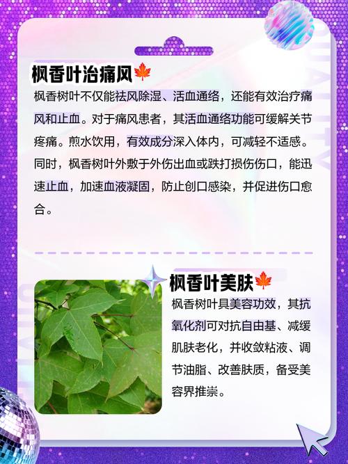 枫树叶的功效和作用，枫树叶的功效和作用及禁忌-第3张图片-优品飞百科