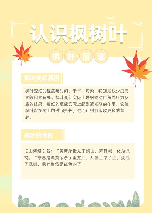 枫树叶的功效和作用，枫树叶的功效和作用及禁忌-第7张图片-优品飞百科