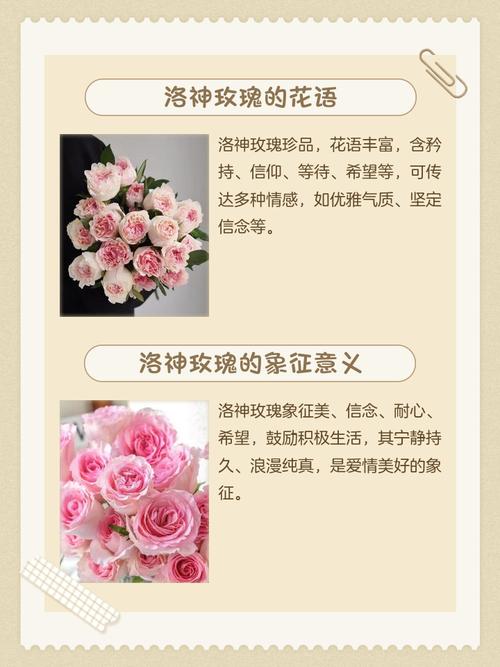 洛神花的花语和寓意，有什么传说故事，洛神花的花语是什么意思-第1张图片-优品飞百科