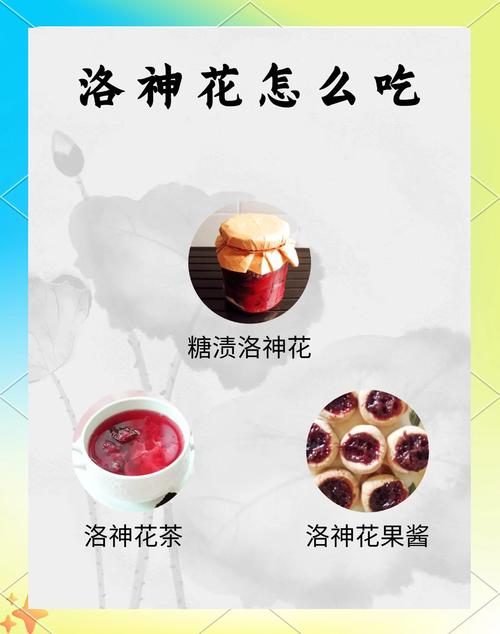 洛神花的花语和寓意，有什么传说故事，洛神花的花语是什么意思-第7张图片-优品飞百科