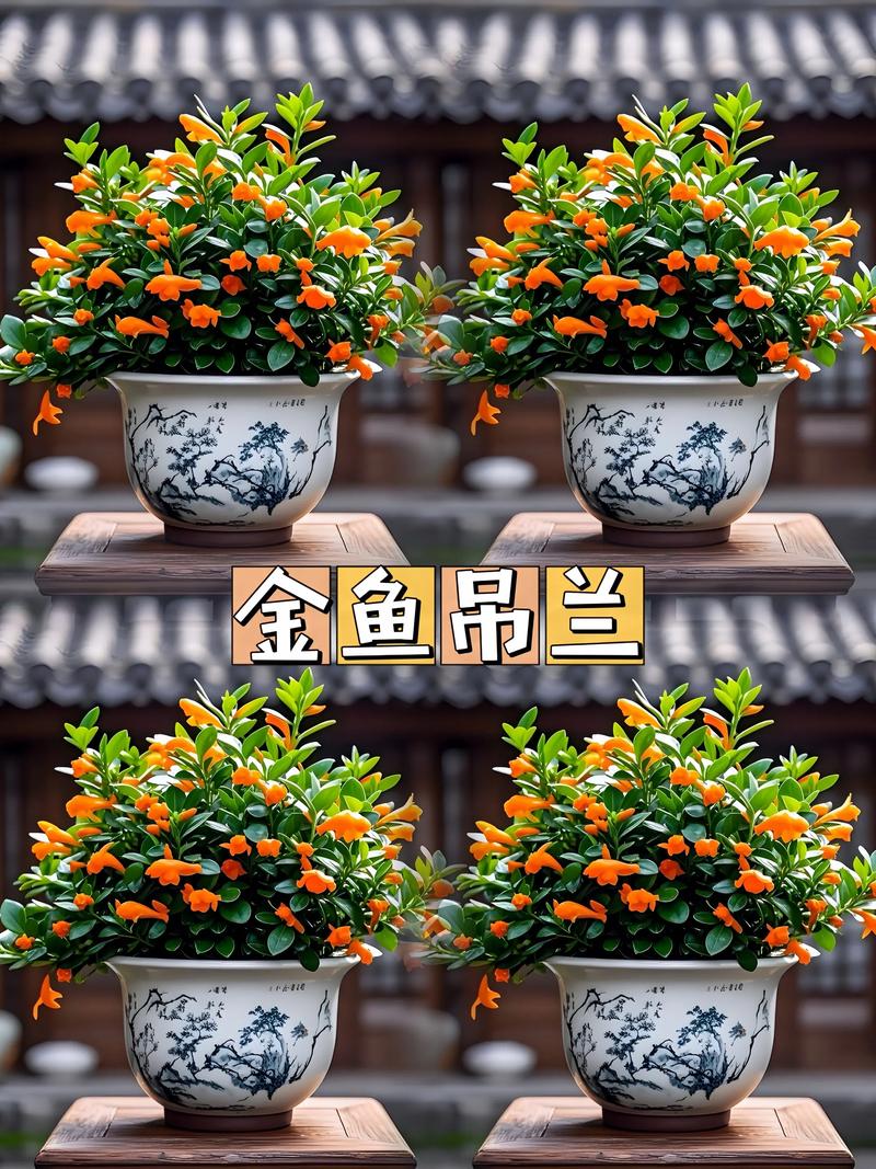 客厅厨房放这盆花，闻着就头晕，饭都吃不下！？厨房放啥花好呢？-第1张图片-优品飞百科