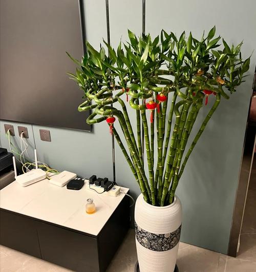 客厅厨房放这盆花，闻着就头晕，饭都吃不下！？厨房放啥花好呢？-第2张图片-优品飞百科