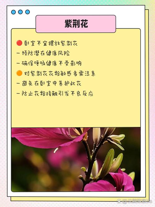 客厅厨房放这盆花，闻着就头晕，饭都吃不下！？厨房放啥花好呢？-第3张图片-优品飞百科