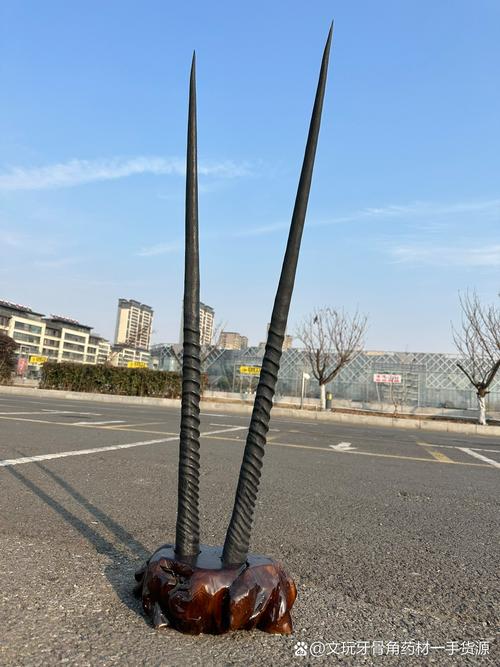 地梢瓜的功效与作用？地梢瓜的功效与作用吃法？-第2张图片-优品飞百科