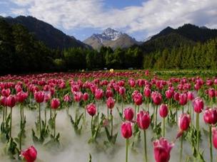 乌苏天气预报，乌苏天气预报一周 7天查询？-第1张图片-优品飞百科