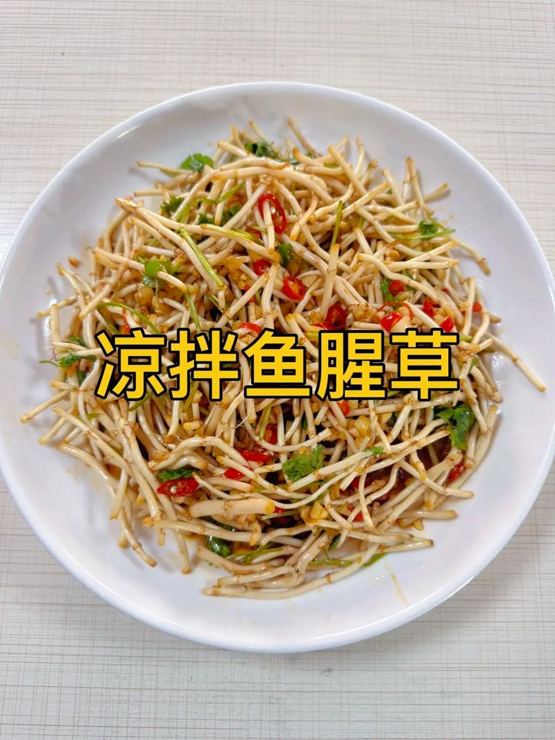 鱼腥草的功效，鱼腥草能吃吗，鱼腥草的功效与禁忌?