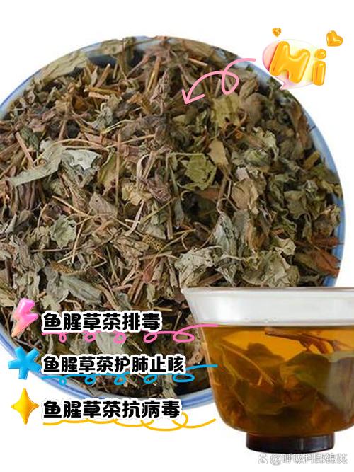 鱼腥草的功效，鱼腥草能吃吗，鱼腥草的功效与禁忌?-第4张图片-优品飞百科