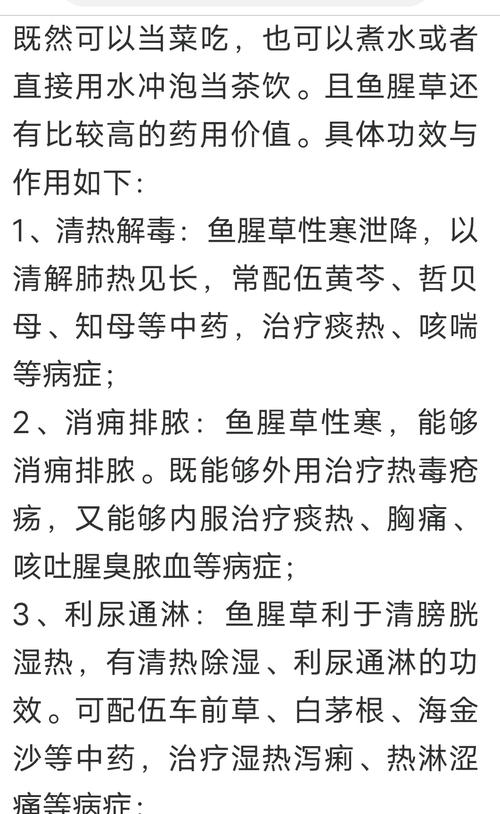 鱼腥草的功效，鱼腥草能吃吗，鱼腥草的功效与禁忌?-第7张图片-优品飞百科